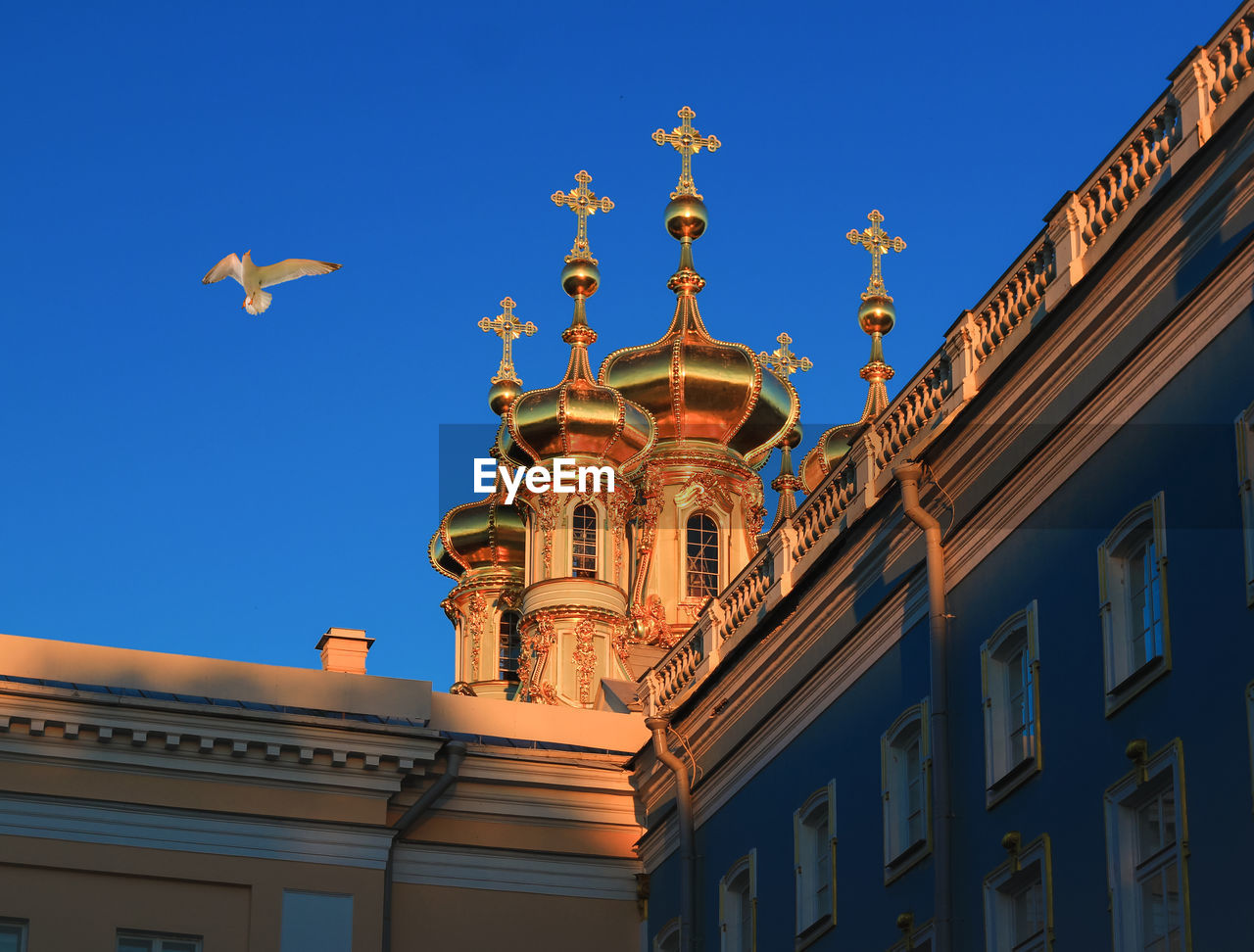 Low angle view of seagull flying by onion domes of catherine palace