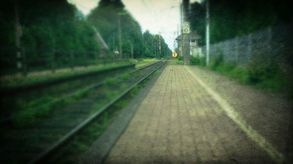 RAILROAD TRACKS IN WINTER