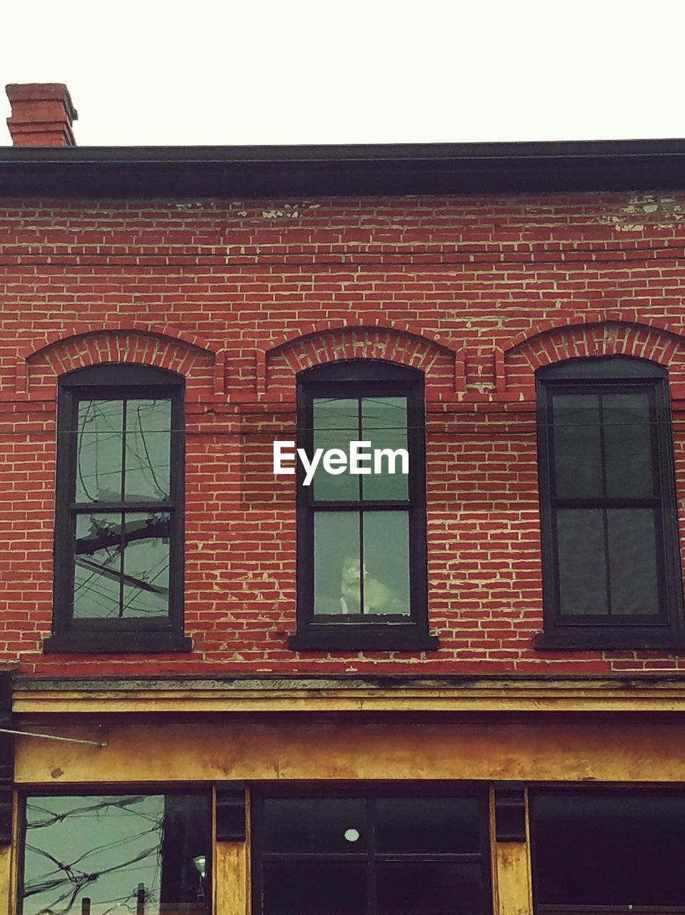 Close-up of windows on brick wall