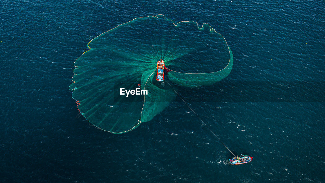 high angle view of butterfly on sea