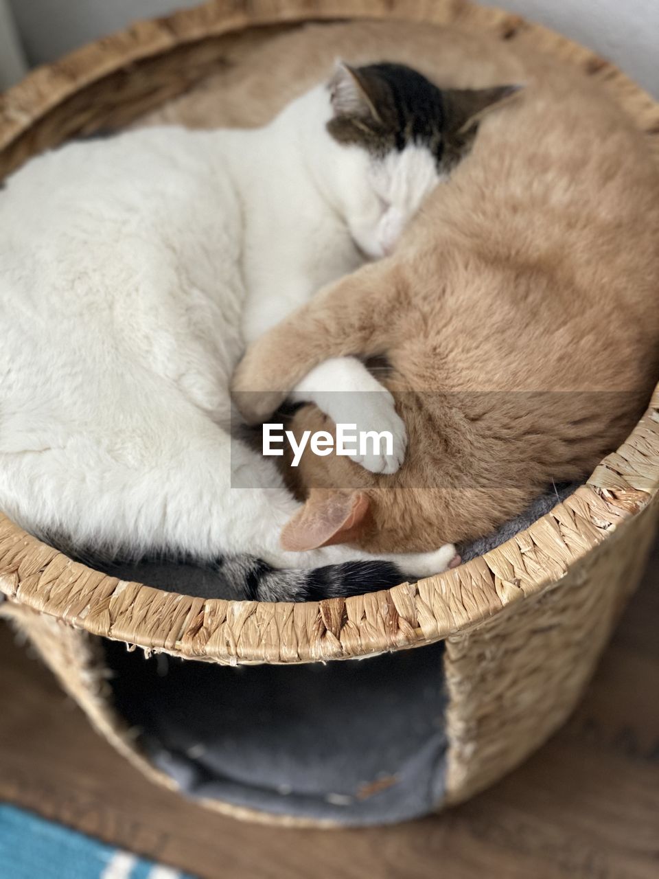 Best friends cuddling