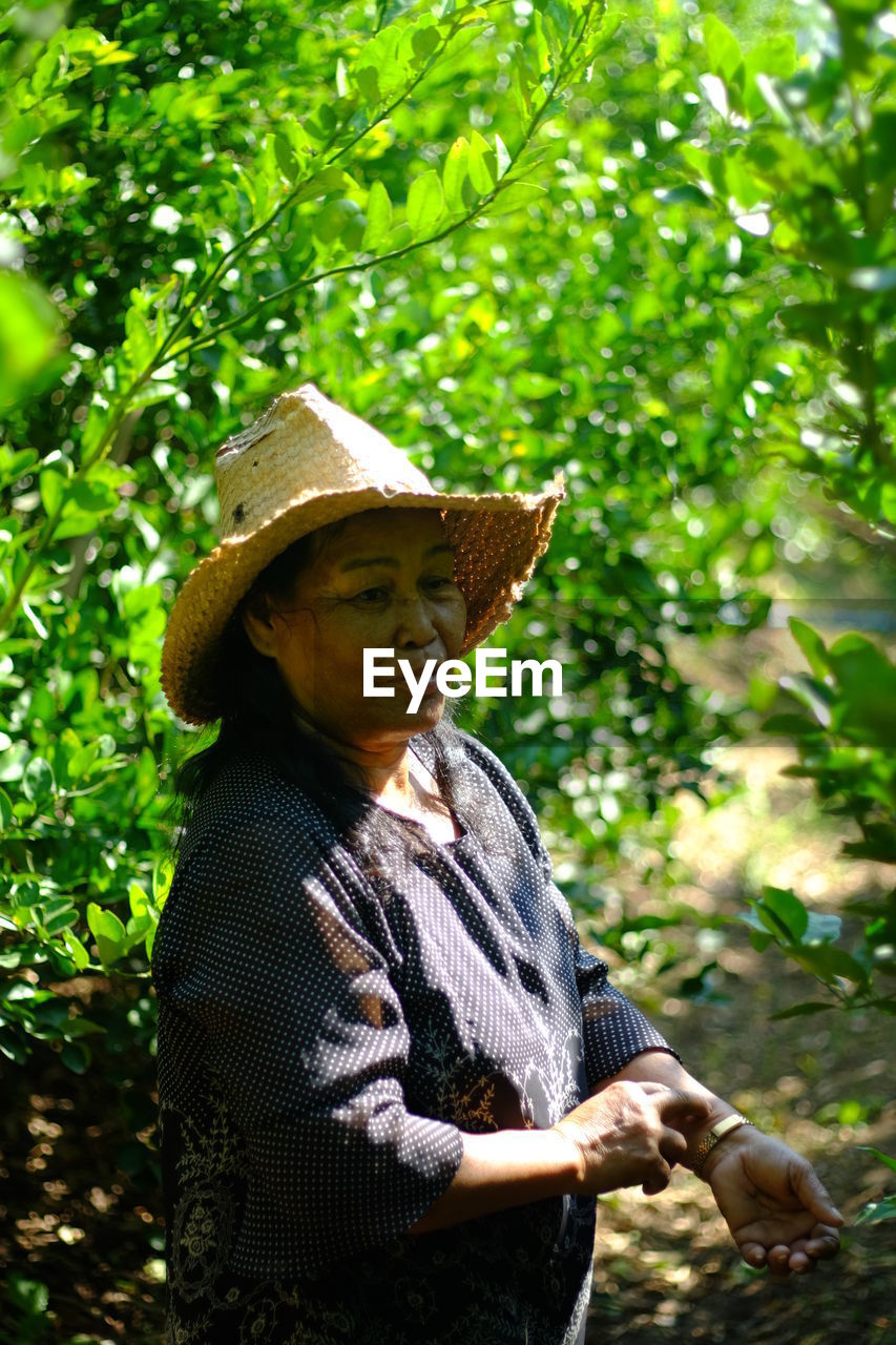 Senior woman wearing hat standing against plants in farm