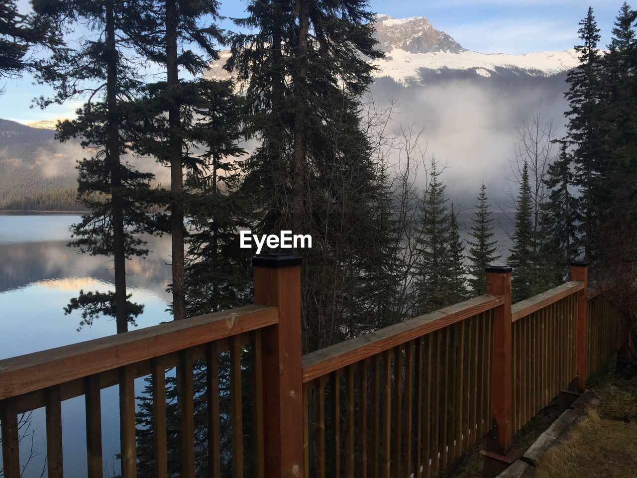 Trees by mountain against sky