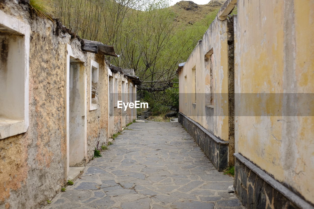 Empty alley amidst buildings