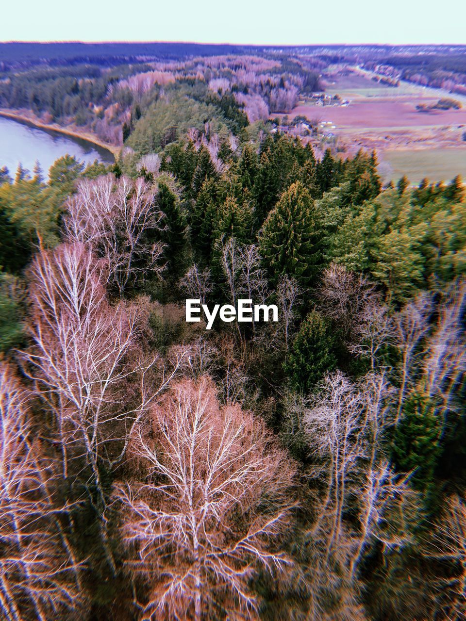 HIGH ANGLE VIEW OF TREES ON FIELD BY MOUNTAINS AGAINST SKY