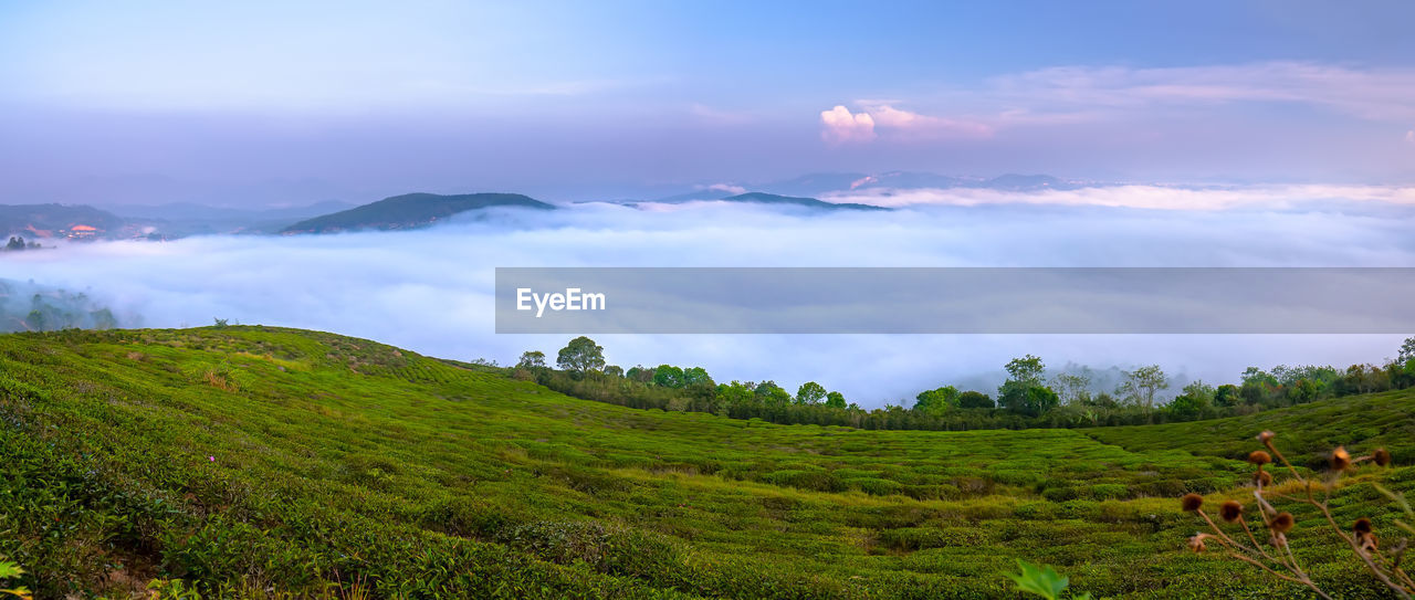 SCENIC VIEW OF LAND AGAINST SKY