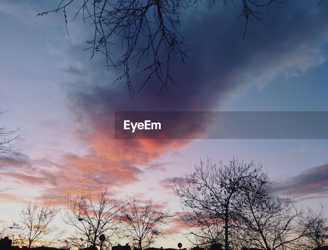 LOW ANGLE VIEW OF SILHOUETTE TREES AGAINST SKY