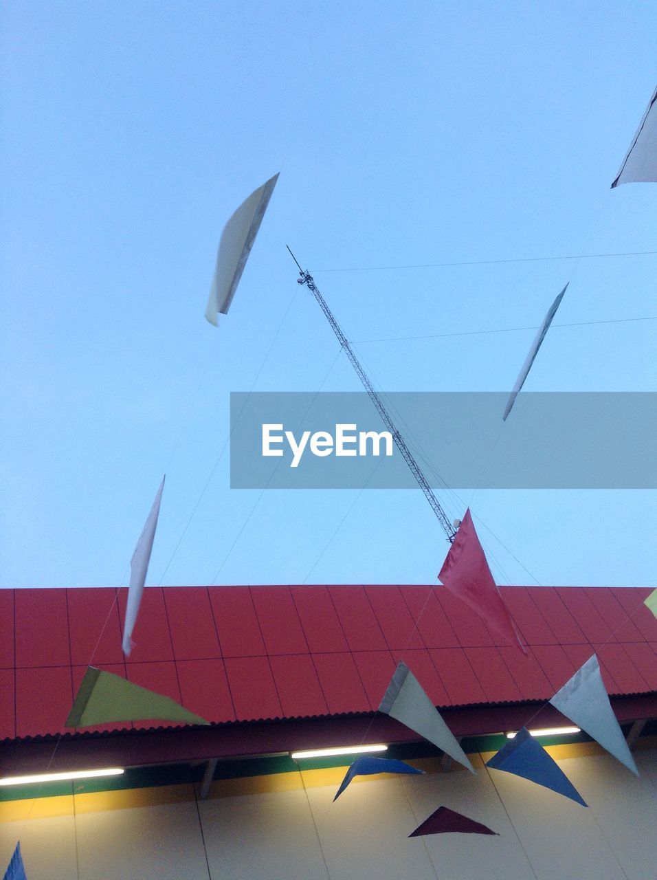 LOW ANGLE VIEW OF BIRD FLYING AGAINST SKY