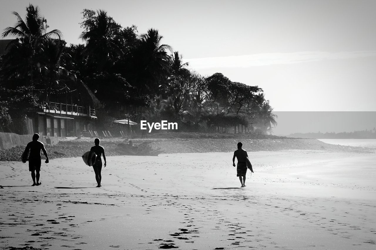 Rear view of people with surfboards walking on beach against palm trees