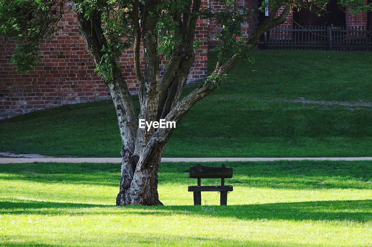 EMPTY PARK BENCH ON FIELD BY TREES IN GRASS