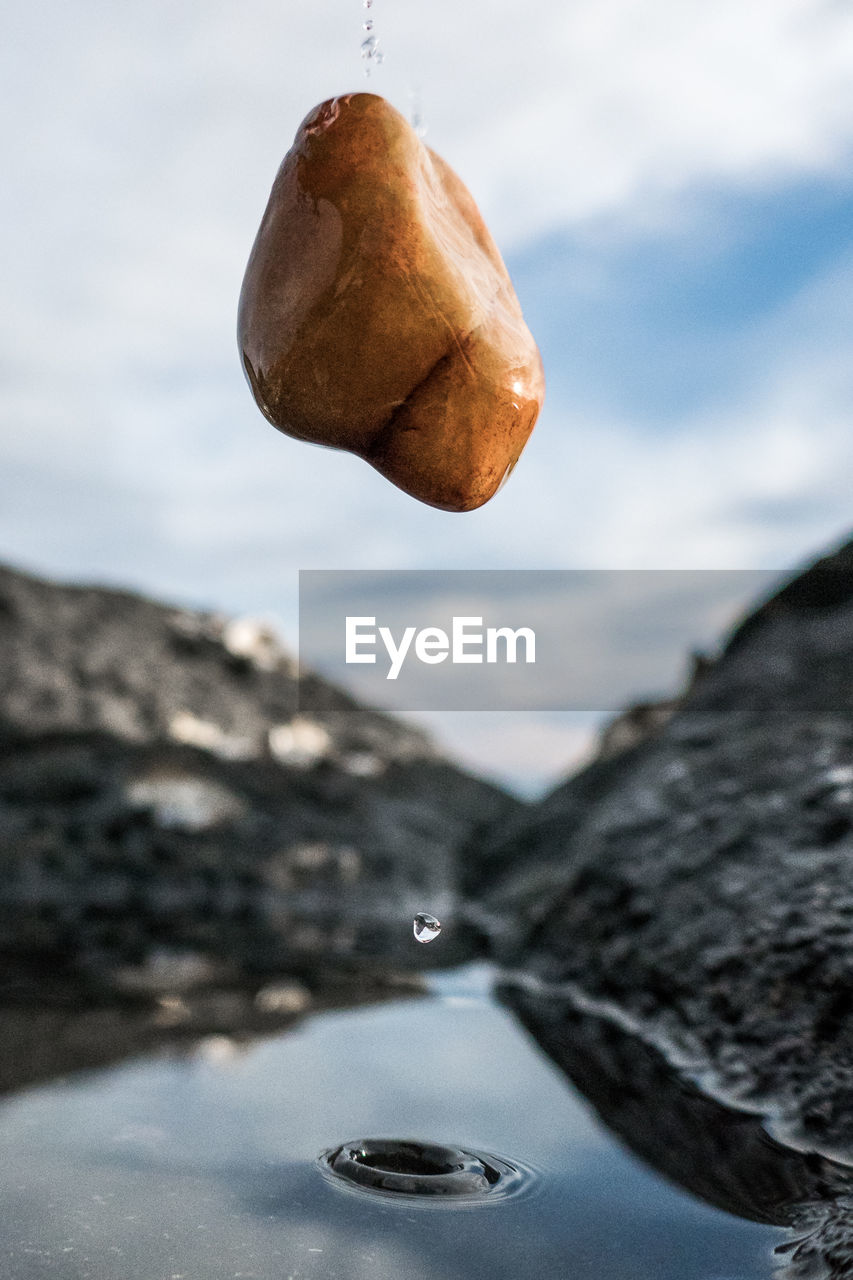 CLOSE-UP OF BREAD IN WATER