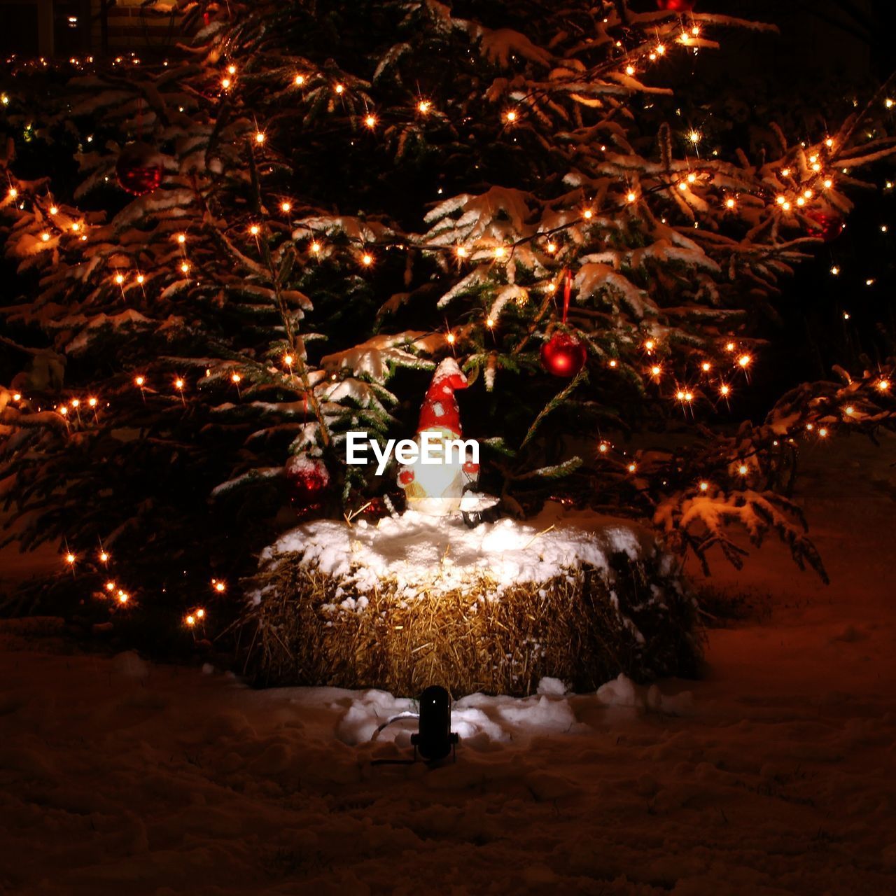 CHRISTMAS TREE AT NIGHT