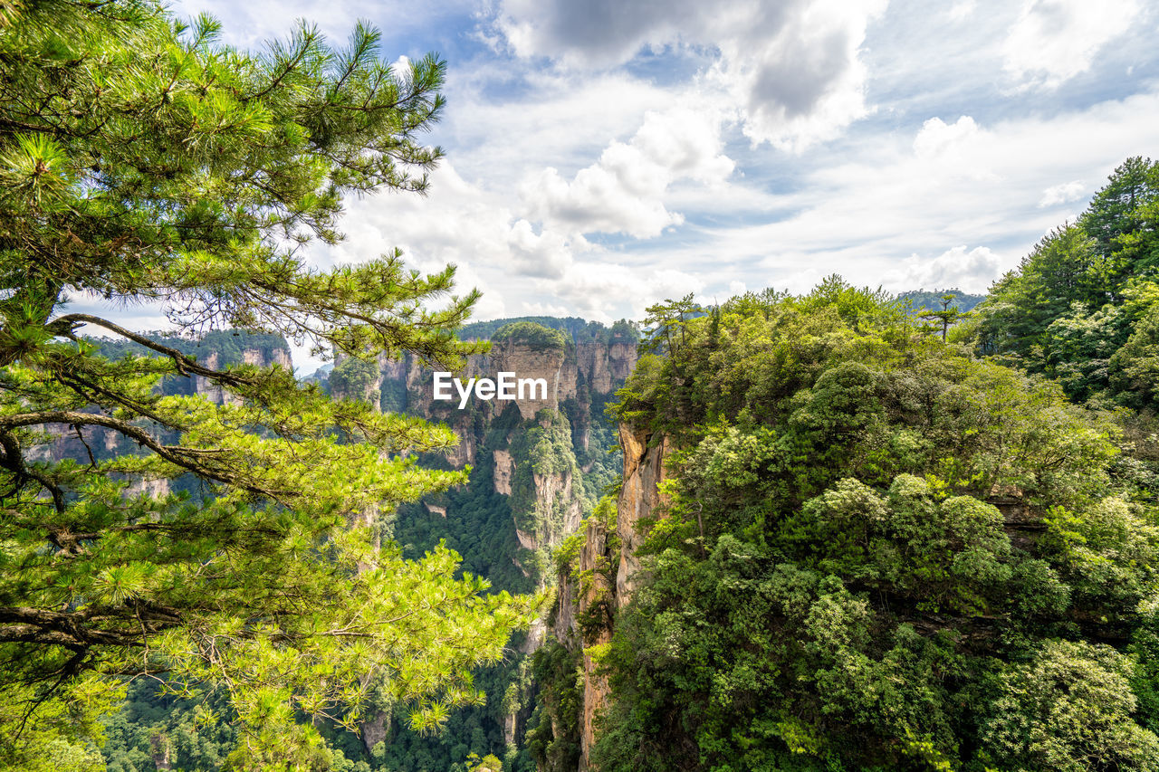 tree, plant, nature, forest, sky, cloud, beauty in nature, autumn, green, leaf, natural environment, scenics - nature, land, environment, woodland, landscape, park, growth, vegetation, travel, no people, travel destinations, mountain, flower, outdoors, tranquility, day, tourism, non-urban scene, sunlight, wilderness, pinaceae, pine tree, architecture, foliage, tranquil scene, coniferous tree, lush foliage, meadow, rainforest, jungle, pine woodland