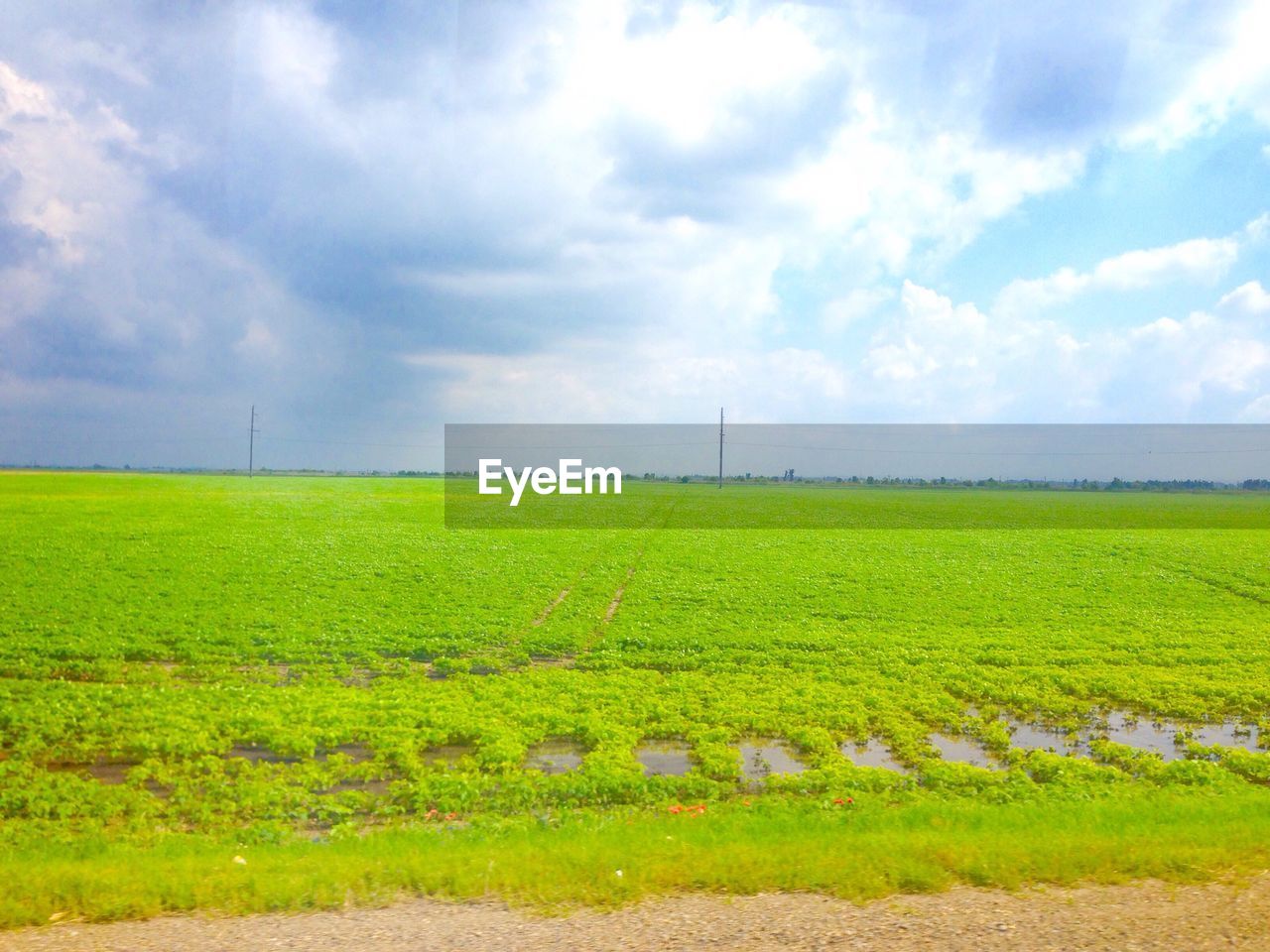 SCENIC VIEW OF GREEN FIELD AGAINST CLOUDY SKY