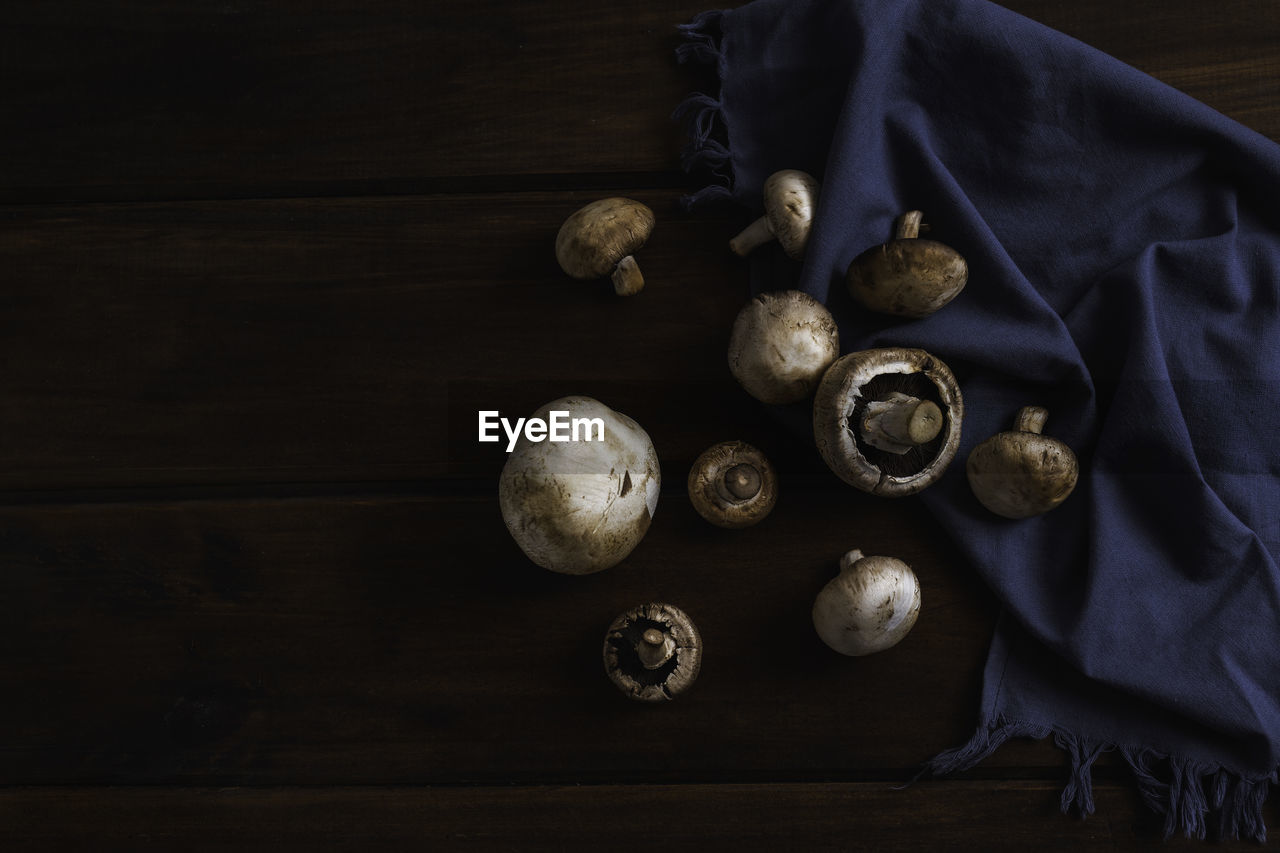 High angle view of eggs on table