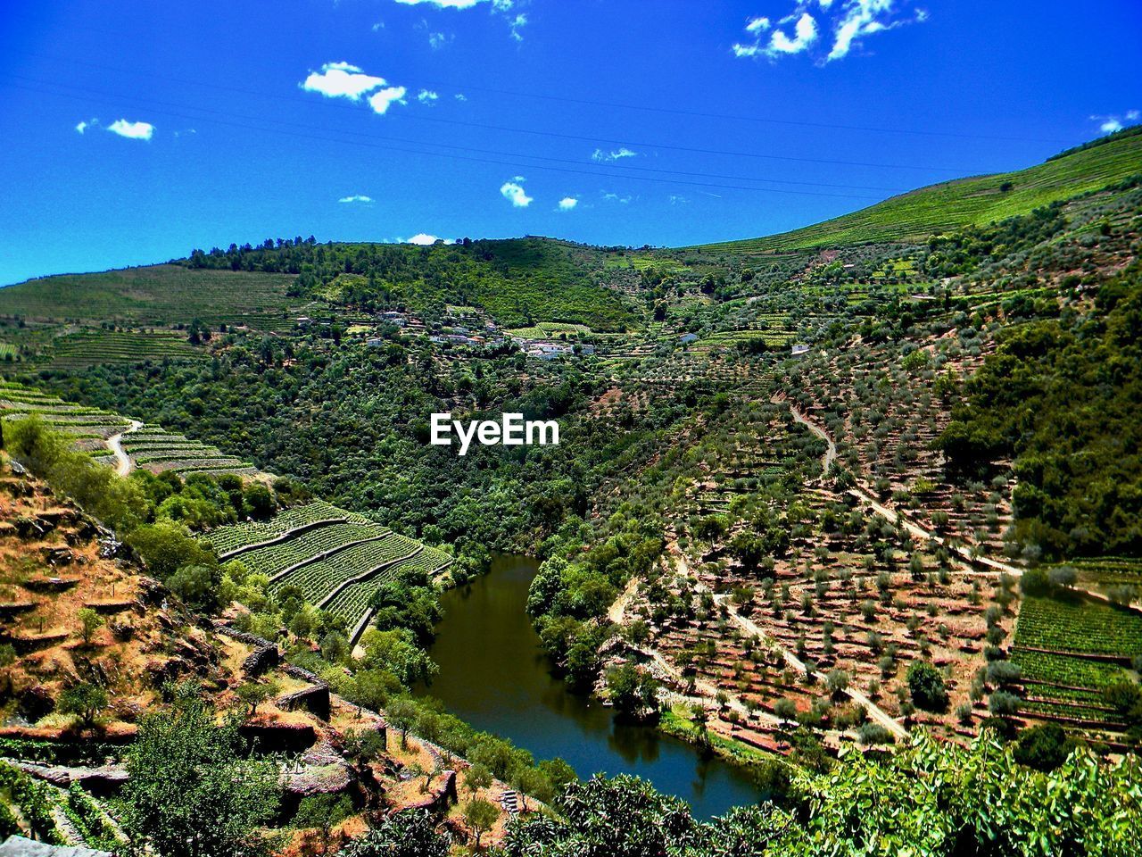 SCENIC VIEW OF FARM AGAINST SKY