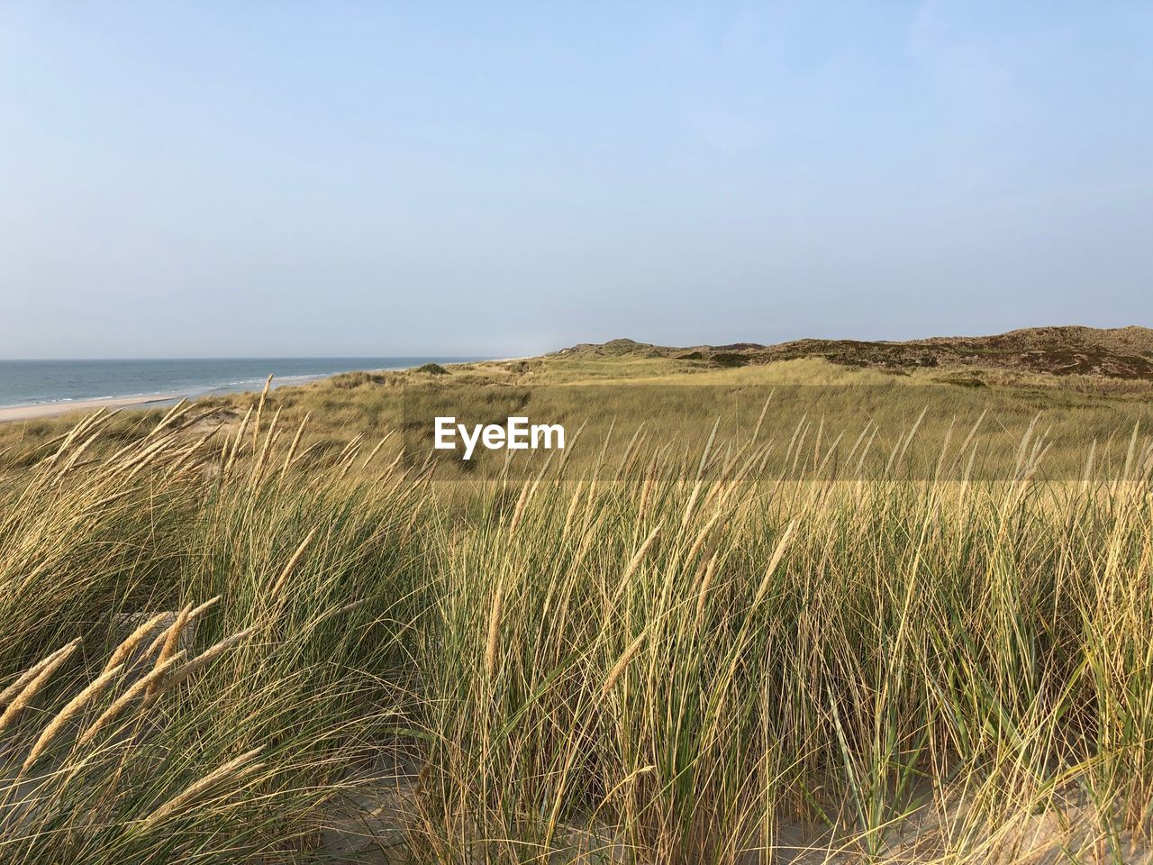 SCENIC VIEW OF LAND AGAINST CLEAR SKY