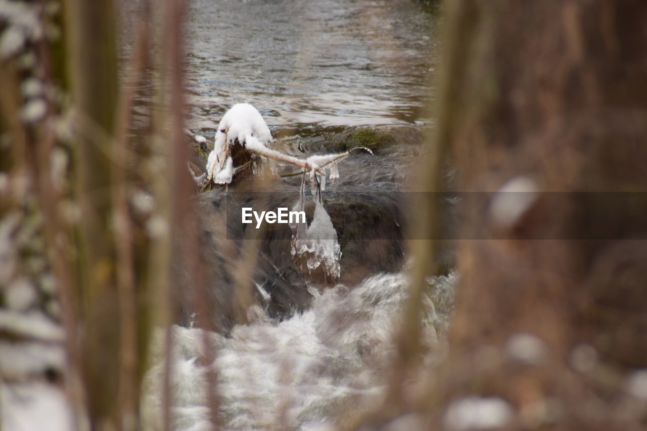 CLOSE-UP OF WHITE WATER IN CONTAINER