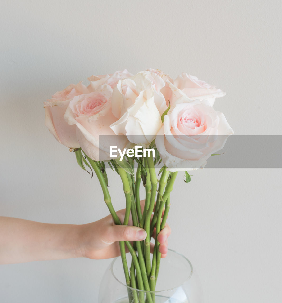 CLOSE-UP OF HAND HOLDING ROSE BOUQUET