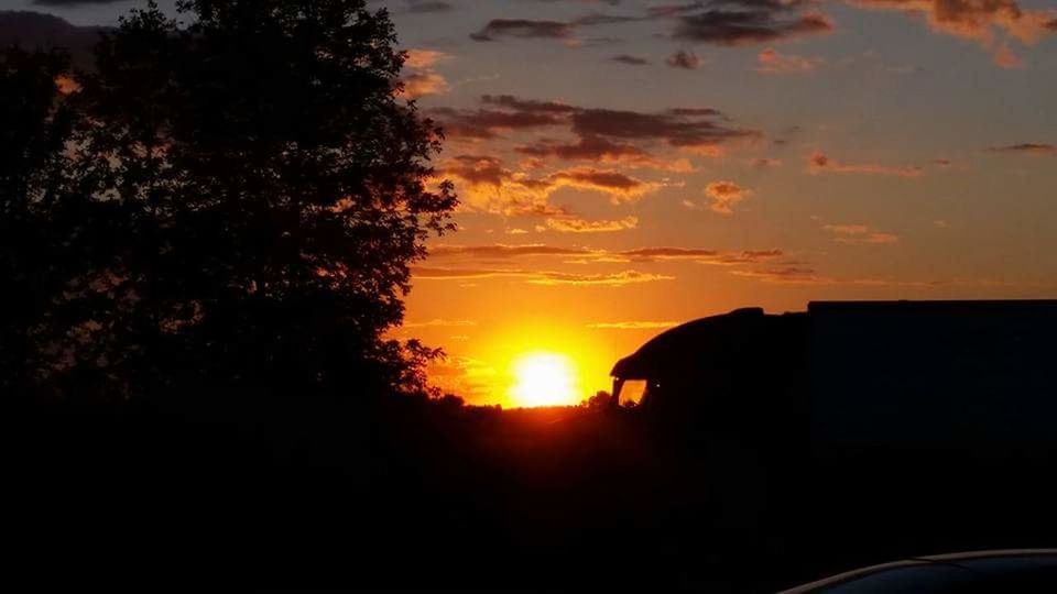 SILHOUETTE OF TREES AT SUNSET