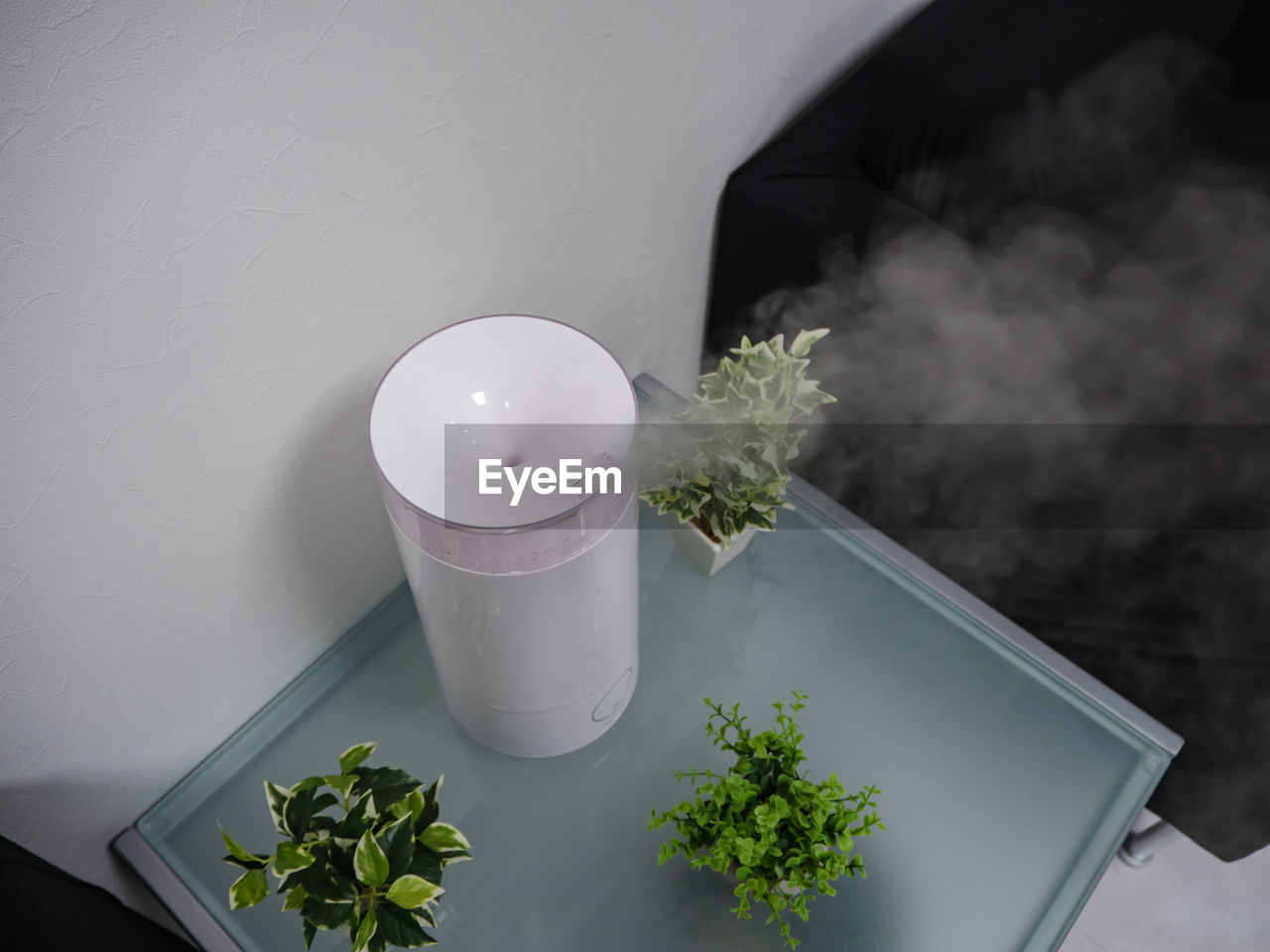 HIGH ANGLE VIEW OF POTTED PLANTS ON TABLE AGAINST WALL