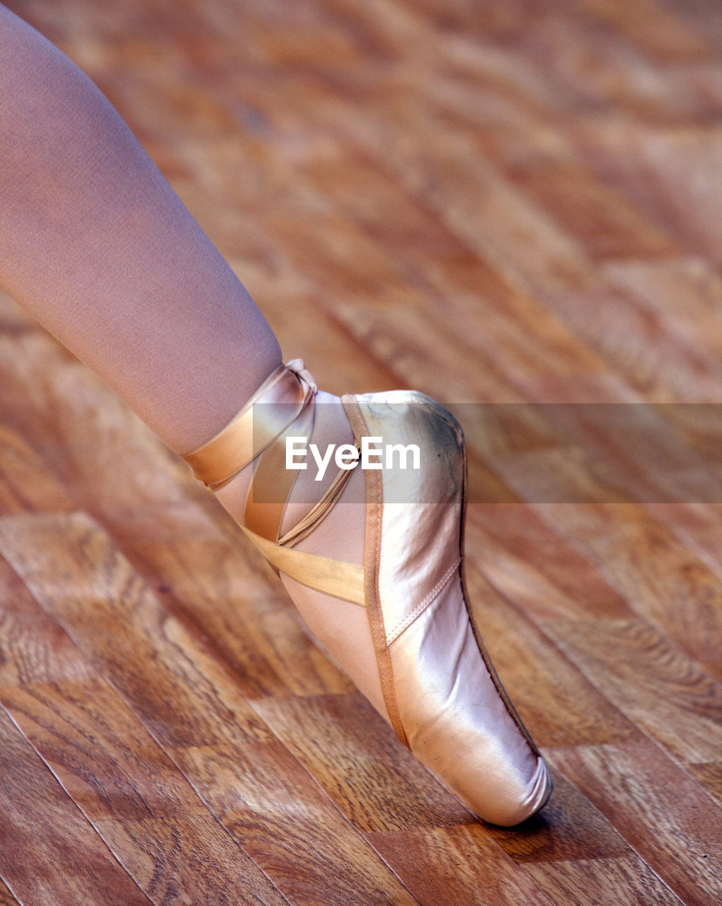 Low section of woman wearing ballet shoes on hardwood floor