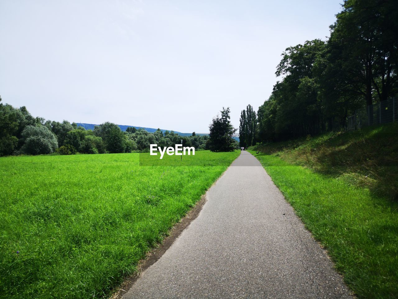 EMPTY ROAD ALONG TREES AND PLANTS