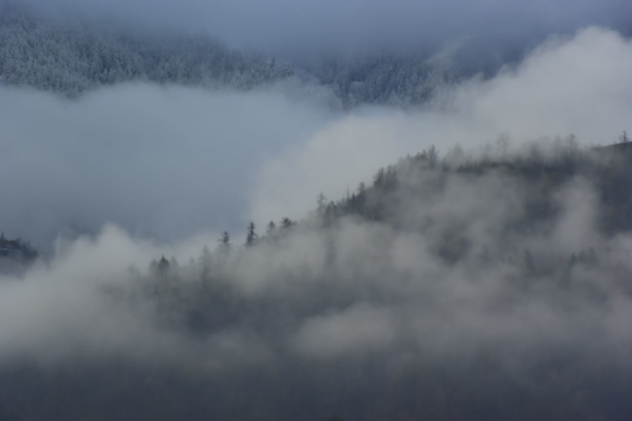 SCENIC VIEW OF LANDSCAPE DURING FOGGY WEATHER