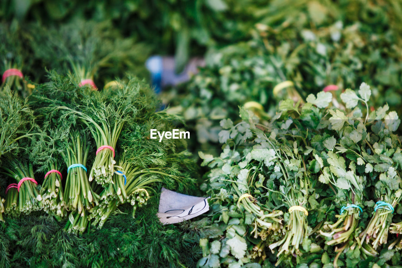 Full frame shot of green vegetables