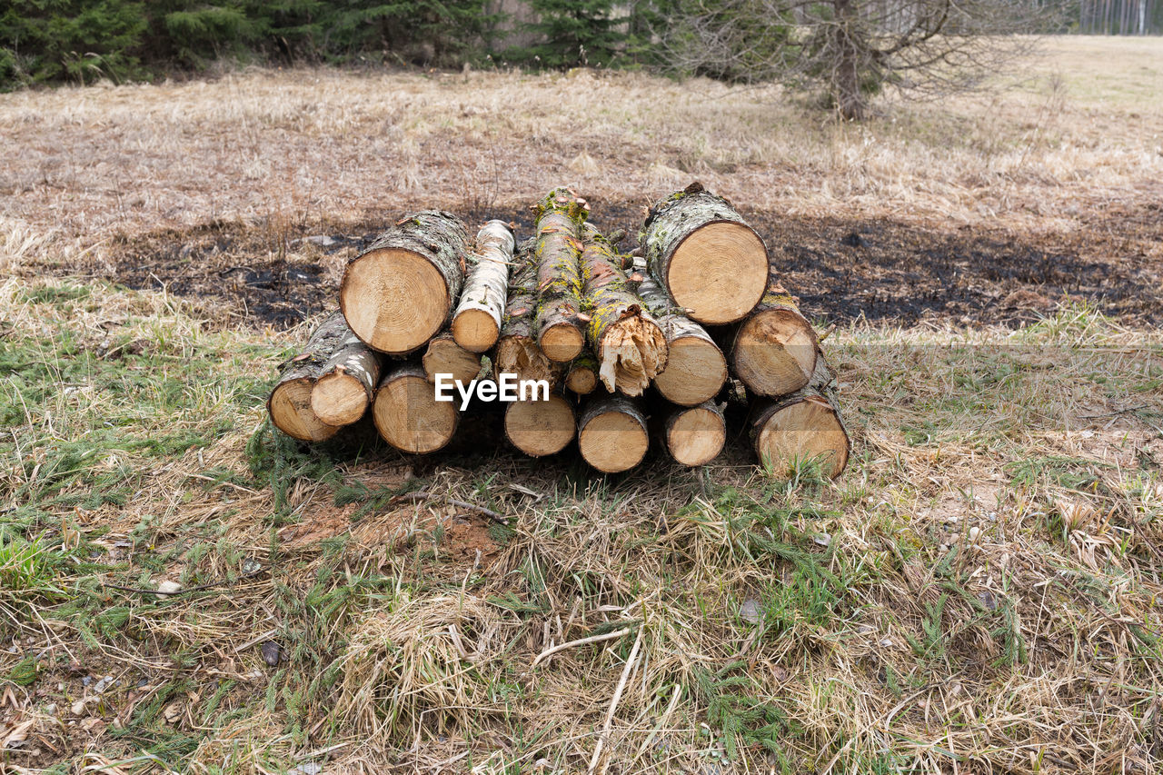 STACK OF FIREWOOD IN FIELD