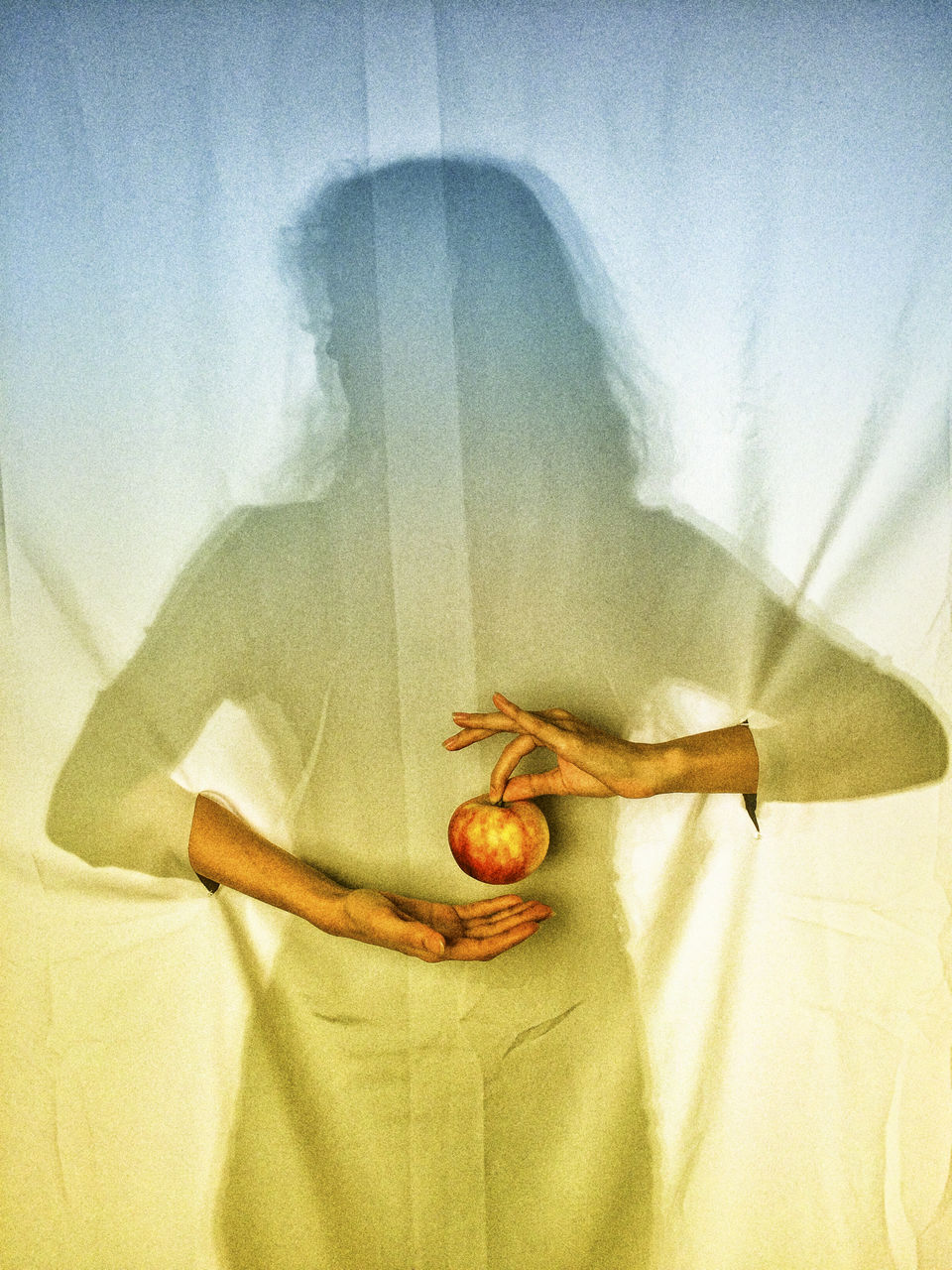 Shadow of woman holding apple on curtain