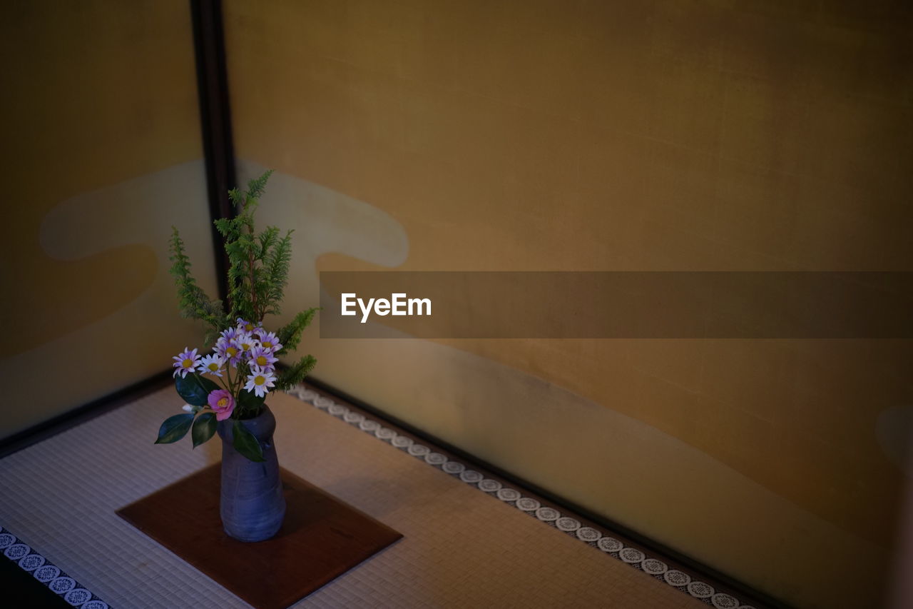 plant, flower, flowering plant, blue, indoors, vase, nature, table, home interior, no people, ikebana, decoration, wall - building feature, houseplant, potted plant, white, art, beauty in nature, lighting, freshness, green, flower arrangement, purple, still life