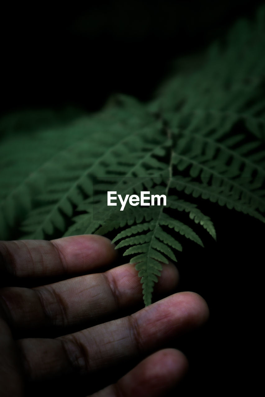 Photos may be the last thing left.  on the day of fading memories