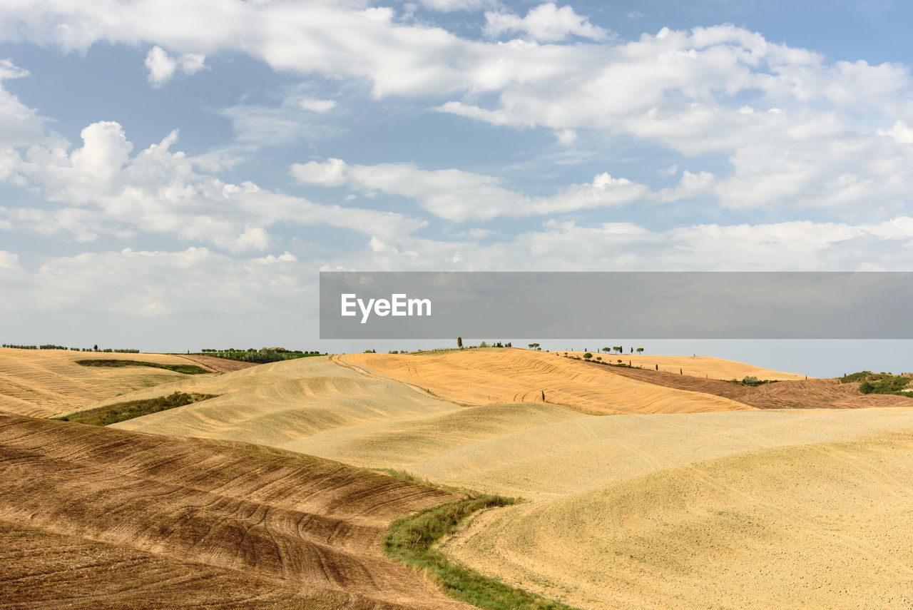 Scenic view of cultivated farm landscape against sky