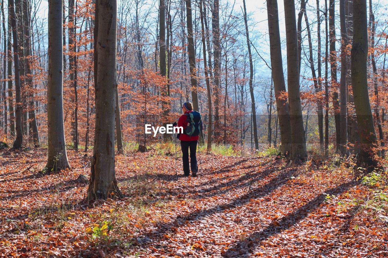 Senior woman hiking in autumn landscape