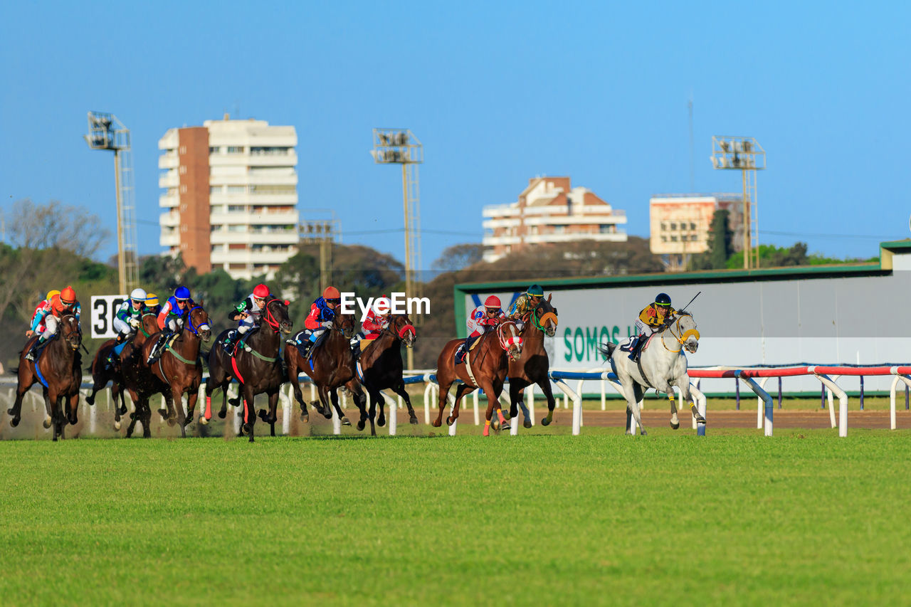 group of people, mammal, horse, domestic animals, sports, animal, livestock, animal wildlife, animal themes, competition, horse racing, racing, pet, crowd, group of animals, grass, sky, horseback riding, activity, animal sports, running, large group of people, nature, race, equestrian sport, race track, jockey, men, day, plant, outdoors, motion, riding, architecture