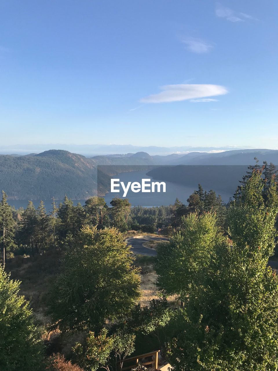 HIGH ANGLE VIEW OF TREES AND PLANTS AGAINST SKY