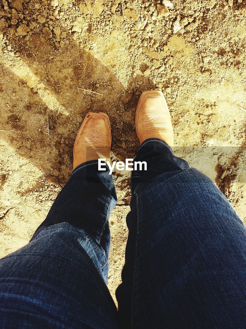 Low section of man standing on sand