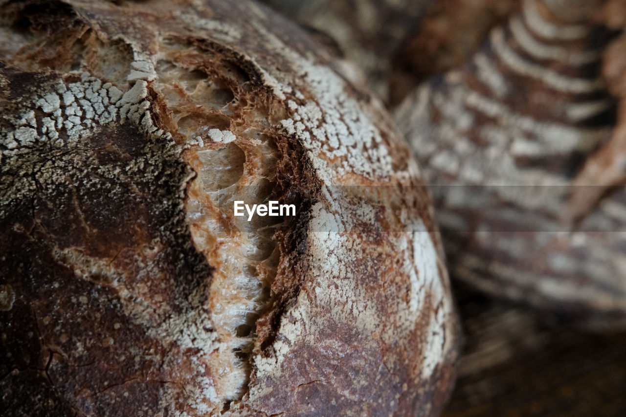 Full frame shot of bread