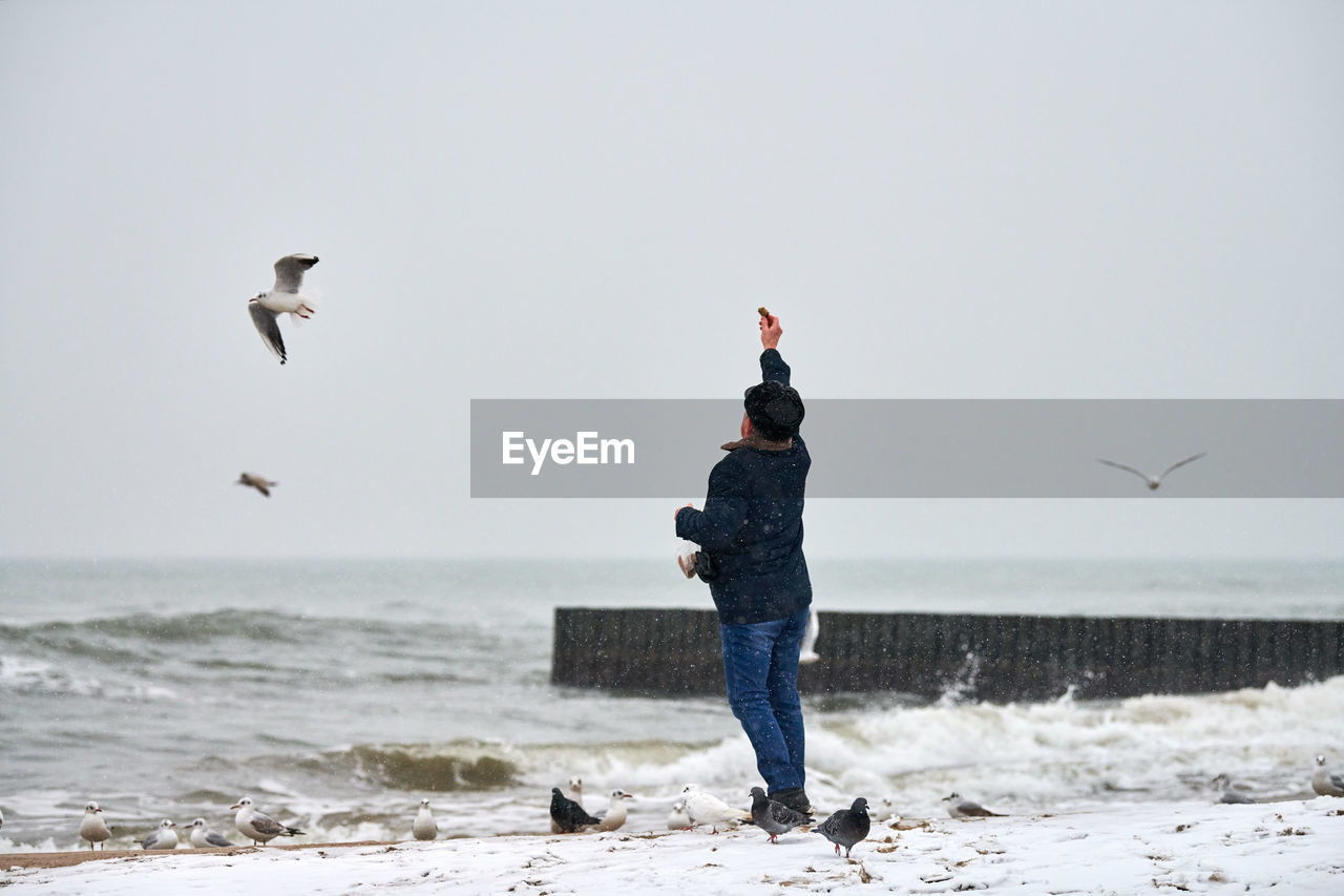 SEAGULL FLYING OVER SEA AGAINST SKY