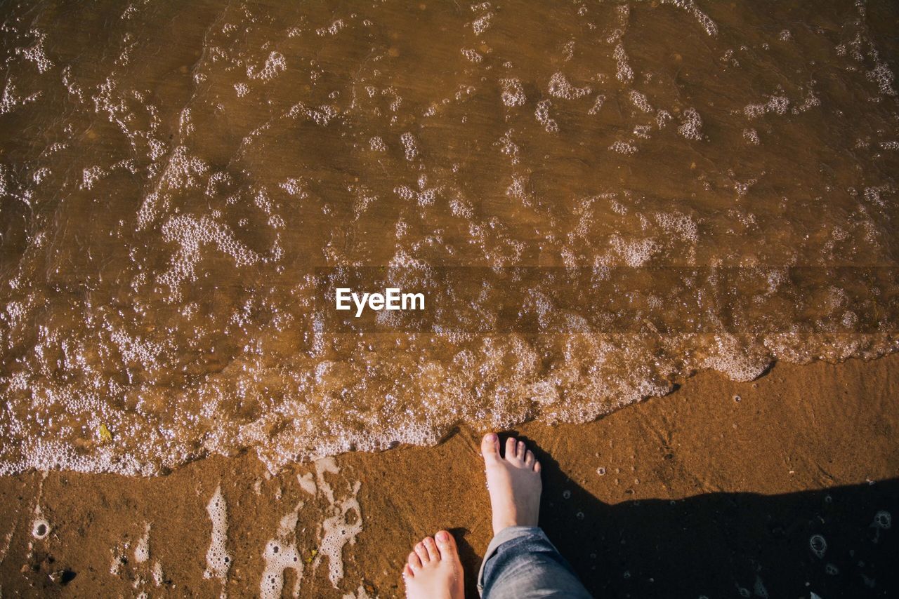 Low section of person standing on beach