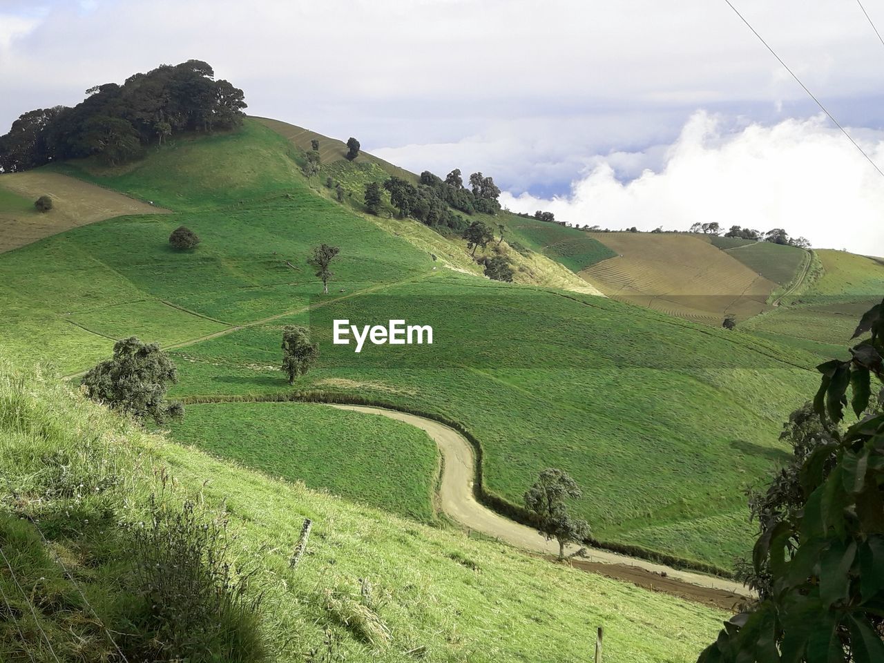 SCENIC VIEW OF FARMS AGAINST SKY