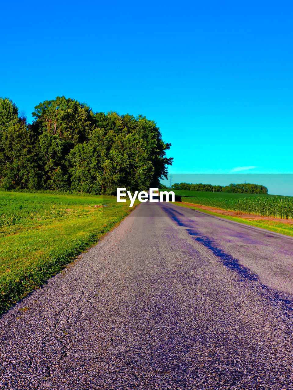 Empty road along trees on field