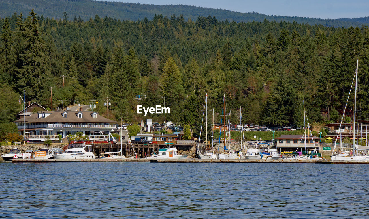 Scenic view of sea by trees and buildings