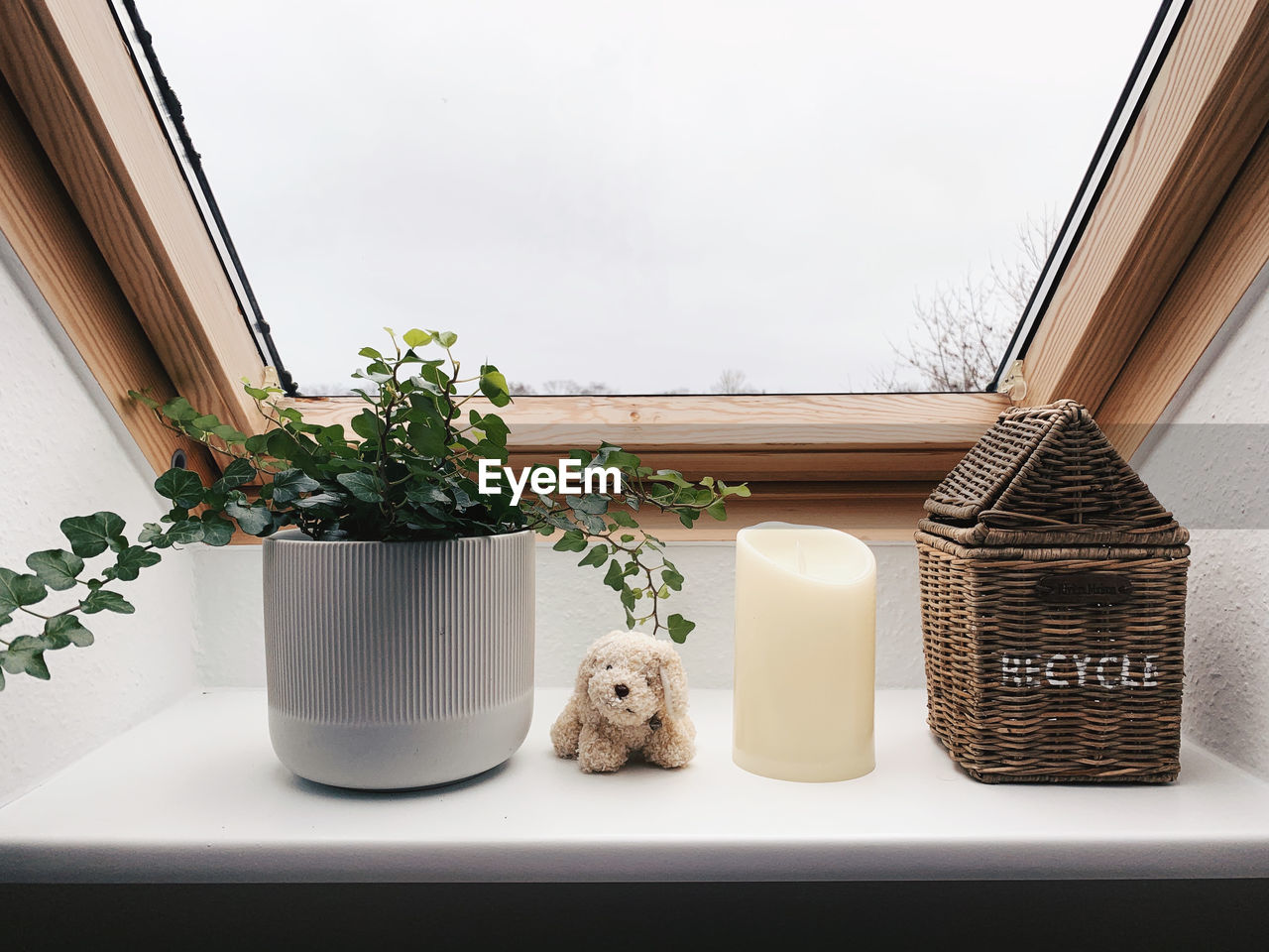 HIGH ANGLE VIEW OF POTTED PLANTS ON WINDOW SILL WITH TOY ON TABLE