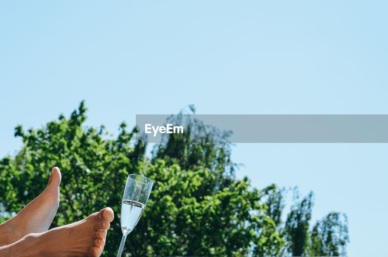 Low section of person by champagne flute against clear sky