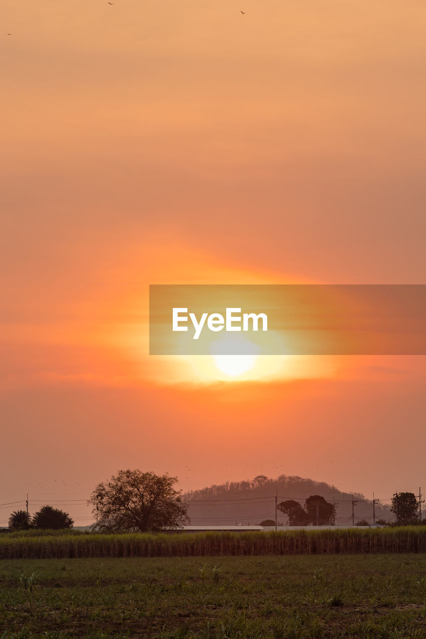 sunset, sky, landscape, environment, beauty in nature, sun, scenics - nature, orange color, nature, field, horizon, cloud, plant, land, tranquility, agriculture, rural scene, tranquil scene, dawn, sunlight, no people, dramatic sky, plain, afterglow, grass, idyllic, tree, outdoors, evening, farm, prairie, non-urban scene, twilight, moody sky, atmospheric mood, sunbeam, architecture, crop, silhouette, yellow, travel, red sky at morning, travel destinations, romantic sky, cloudscape