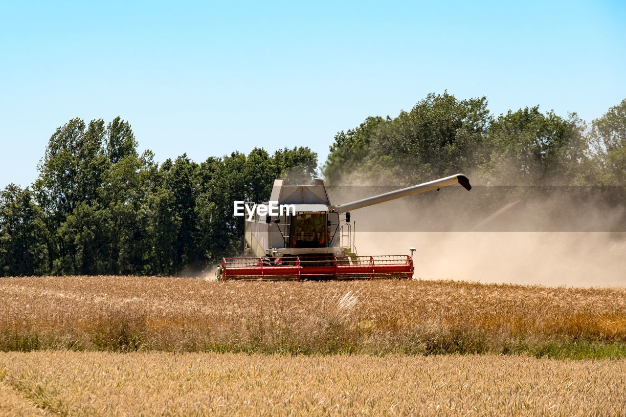 Harvester  reaping grain