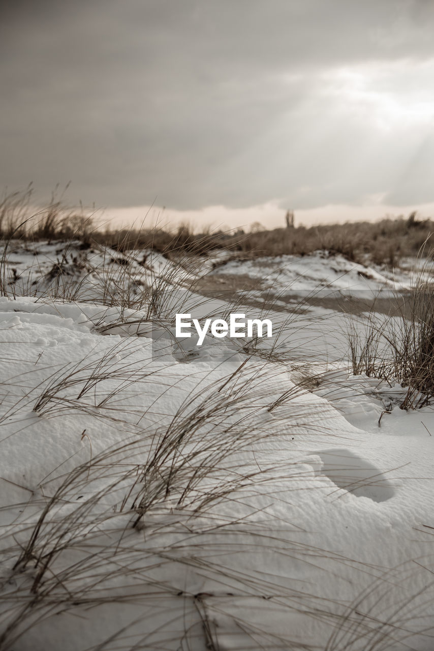 SNOW COVERED LAND