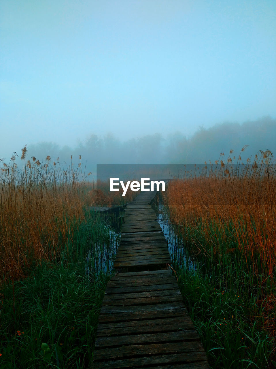 VIEW OF BOARDWALK ON FIELD AGAINST SKY